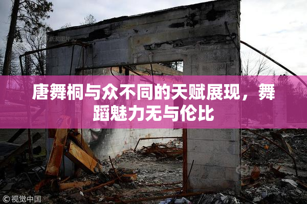 唐舞桐与众不同的天赋展现，舞蹈魅力无与伦比