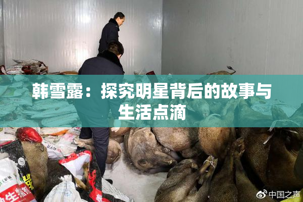 韩雪露：探究明星背后的故事与生活点滴