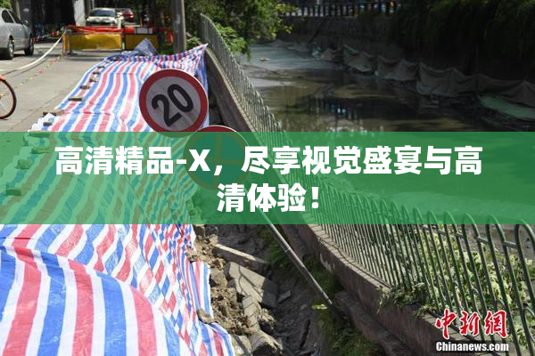 高清精品-X，尽享视觉盛宴与高清体验！