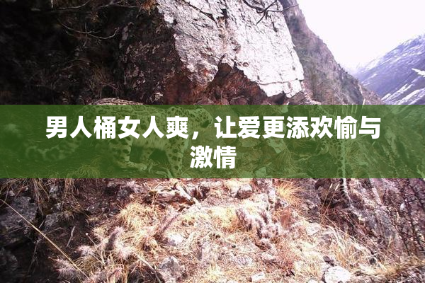 男人桶女人爽，让爱更添欢愉与激情