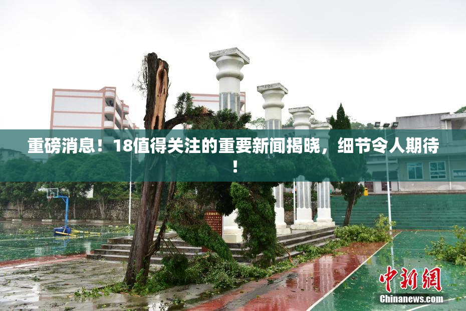 重磅消息！18值得关注的重要新闻揭晓，细节令人期待！