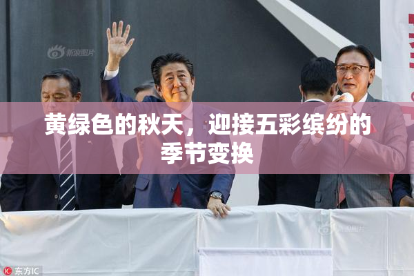 黄绿色的秋天，迎接五彩缤纷的季节变换