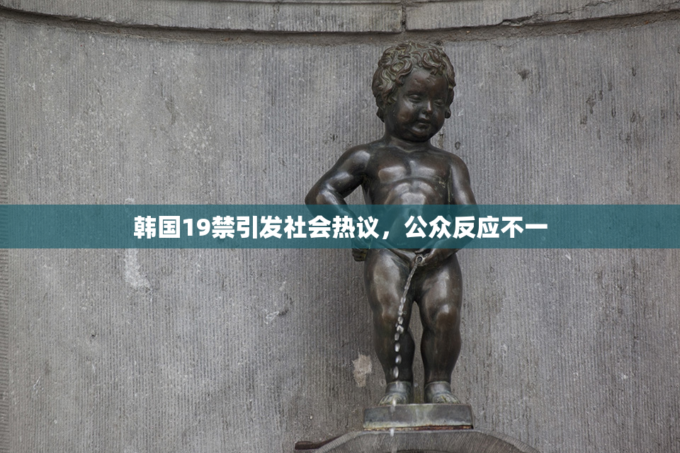 韩国19禁引发社会热议，公众反应不一