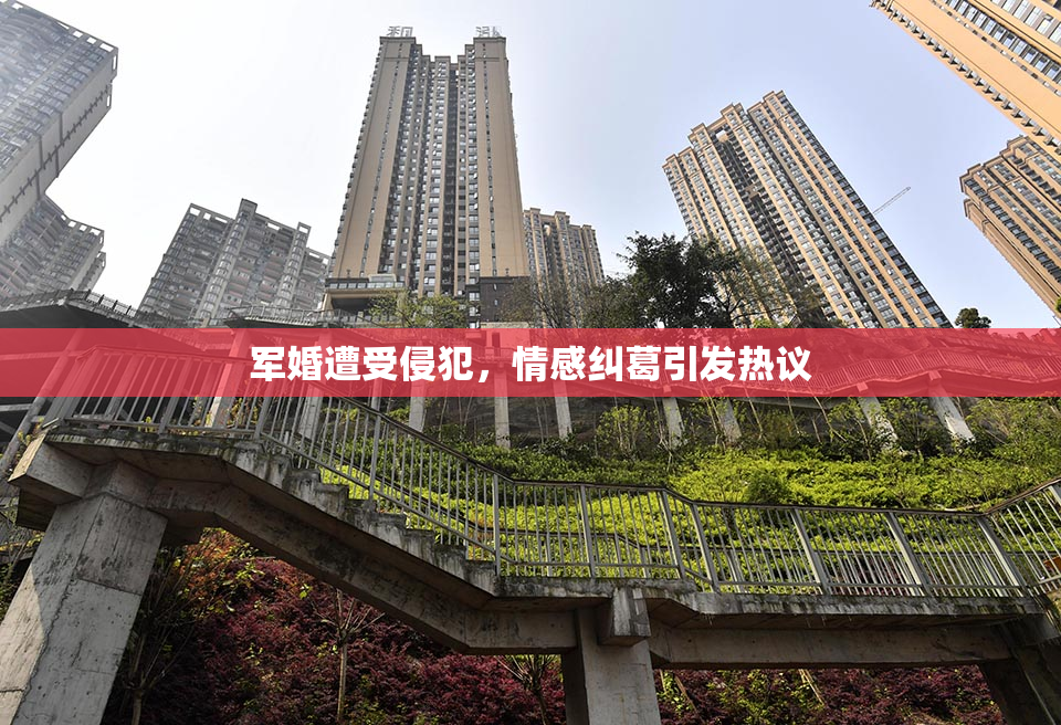 军婚遭受侵犯，情感纠葛引发热议