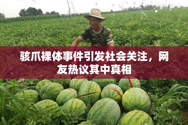 骇爪裸体事件引发社会关注，网友热议其中真相