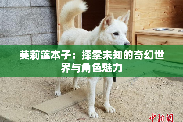 芙莉莲本子：探索未知的奇幻世界与角色魅力