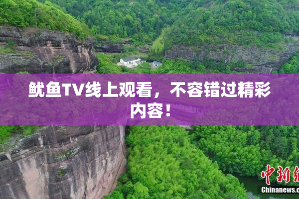 鱿鱼TV线上观看，不容错过精彩内容！