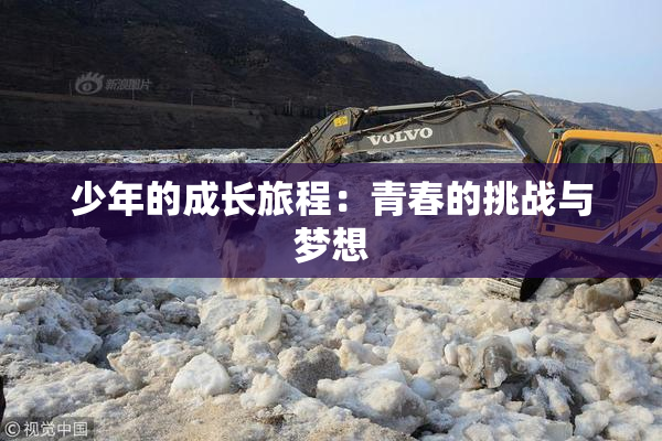 少年的成长旅程：青春的挑战与梦想