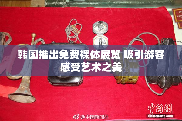 韩国推出免费裸体展览 吸引游客感受艺术之美