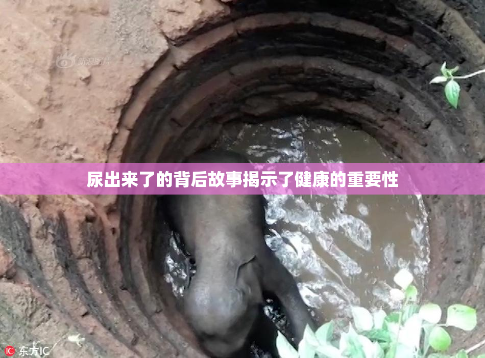 尿出来了的背后故事揭示了健康的重要性