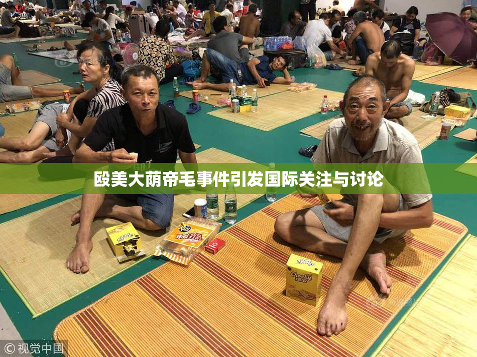 殴美大荫帝毛事件引发国际关注与讨论