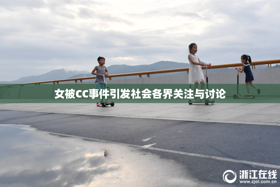 女被CC事件引发社会各界关注与讨论