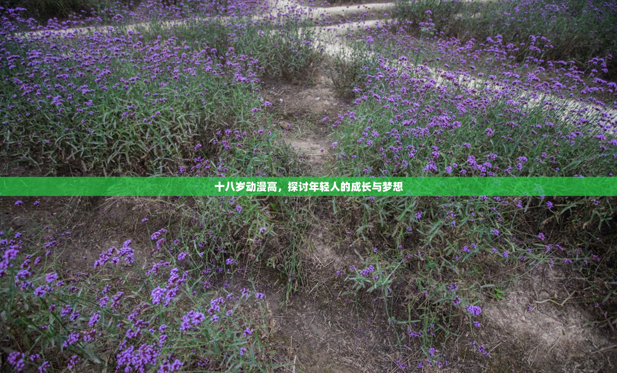 十八岁动漫高，探讨年轻人的成长与梦想