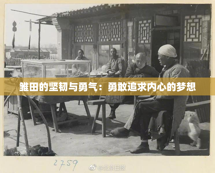 雏田的坚韧与勇气：勇敢追求内心的梦想