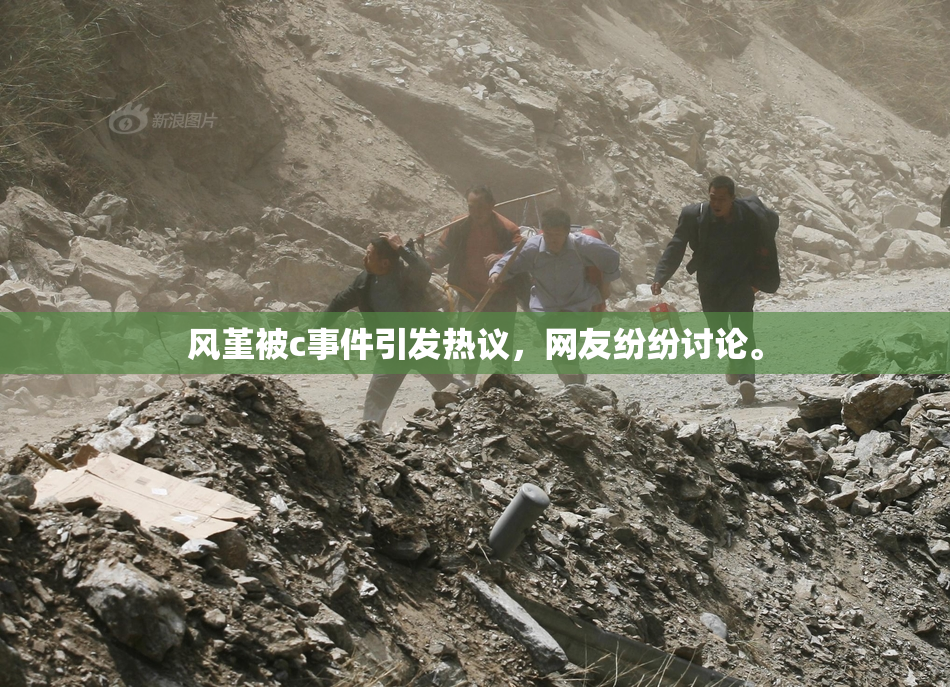 风堇被c事件引发热议，网友纷纷讨论。