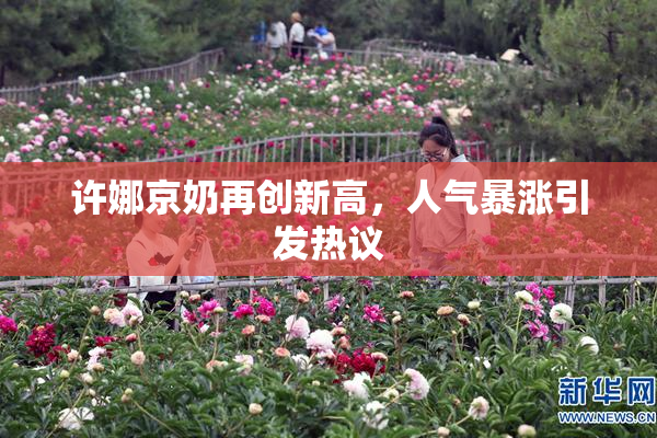 许娜京奶再创新高，人气暴涨引发热议