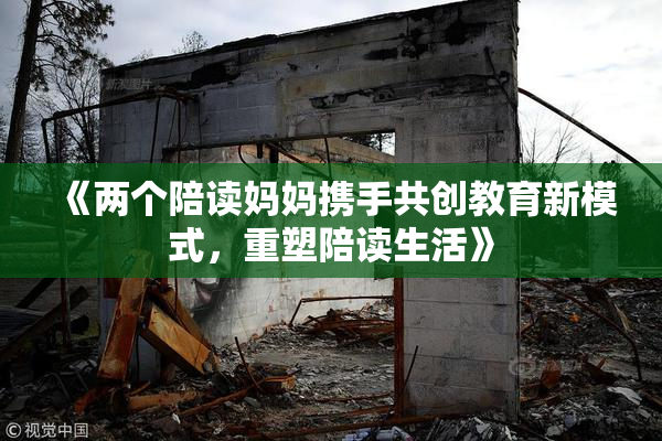 《两个陪读妈妈携手共创教育新模式，重塑陪读生活》