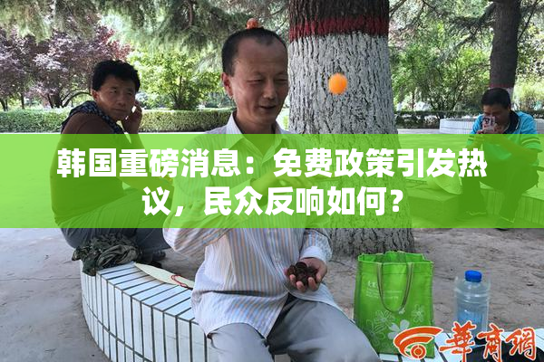 韩国重磅消息：免费政策引发热议，民众反响如何？