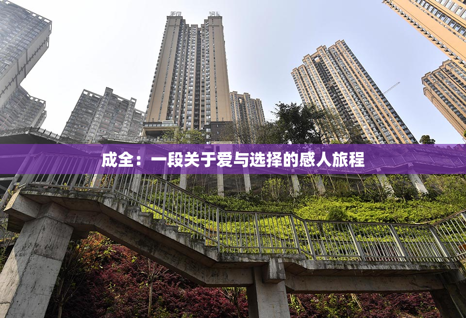 成全：一段关于爱与选择的感人旅程