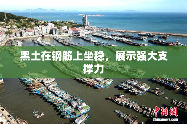 黑土在钢筋上坐稳，展示强大支撑力