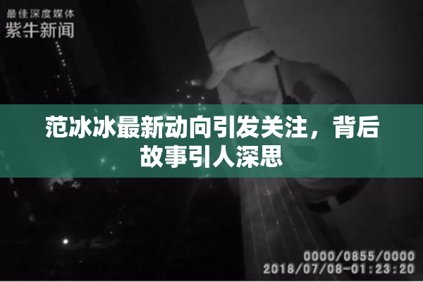 范冰冰最新动向引发关注，背后故事引人深思