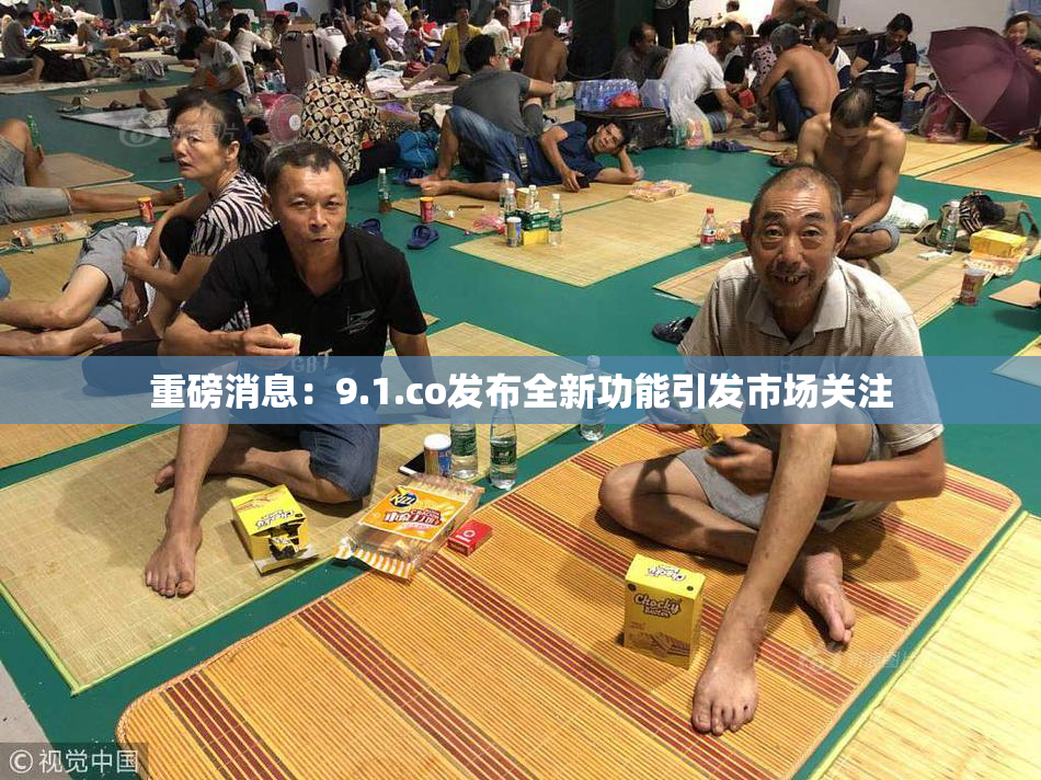 重磅消息：9.1.co发布全新功能引发市场关注
