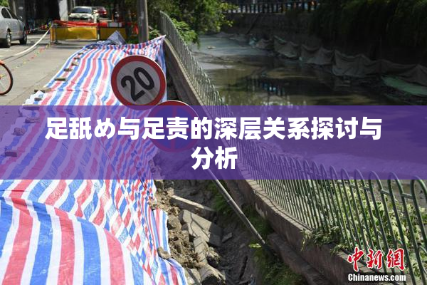 足舐め与足责的深层关系探讨与分析