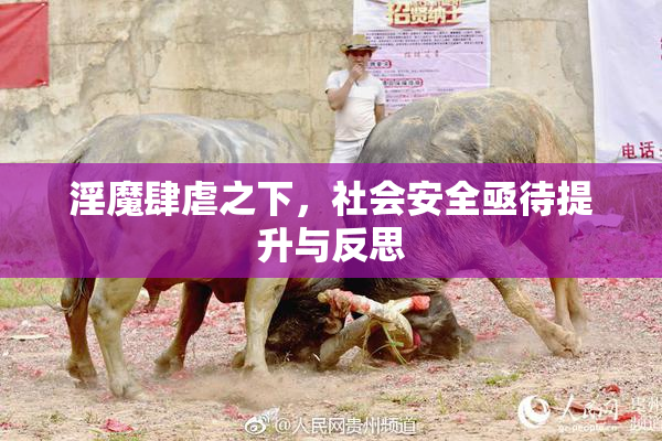 淫魔肆虐之下，社会安全亟待提升与反思