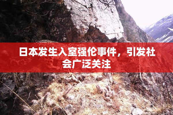 日本发生入室强伦事件，引发社会广泛关注