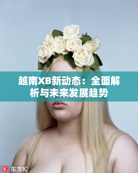 越南XB新动态：全面解析与未来发展趋势