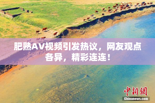 肥熟AV视频引发热议，网友观点各异，精彩连连！