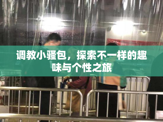 调教小骚包，探索不一样的趣味与个性之旅
