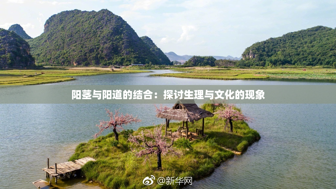 阳茎与阳道的结合：探讨生理与文化的现象