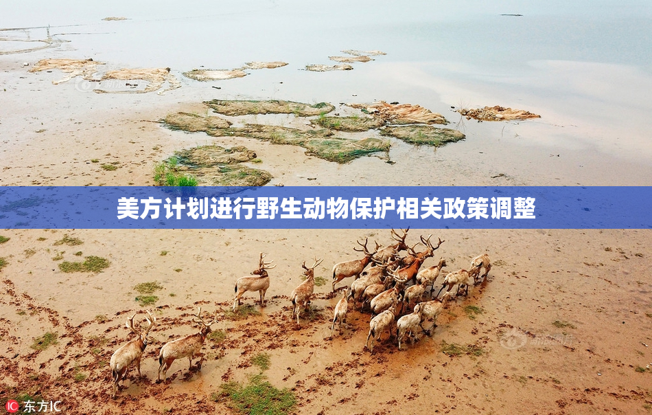 美方计划进行野生动物保护相关政策调整