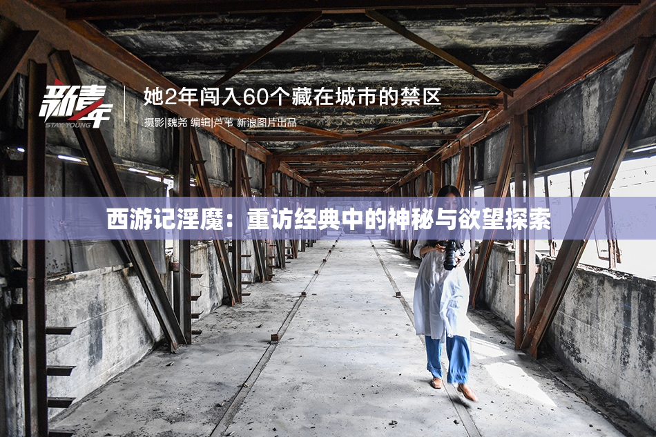 西游记淫魔：重访经典中的神秘与欲望探索