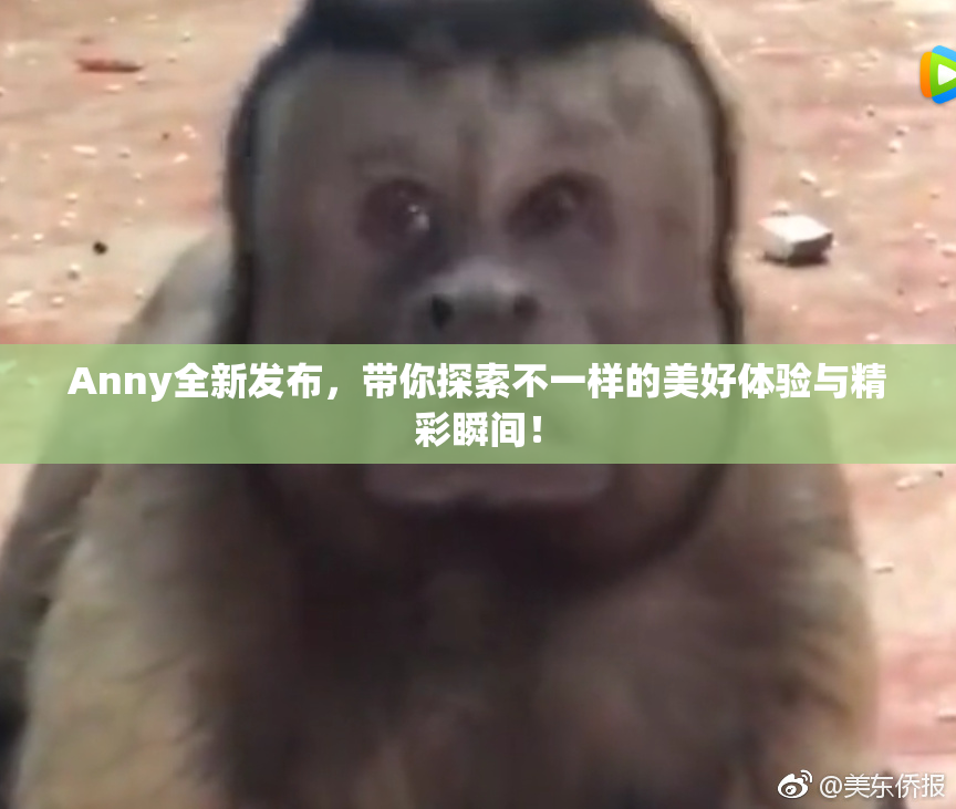 Anny全新发布，带你探索不一样的美好体验与精彩瞬间！