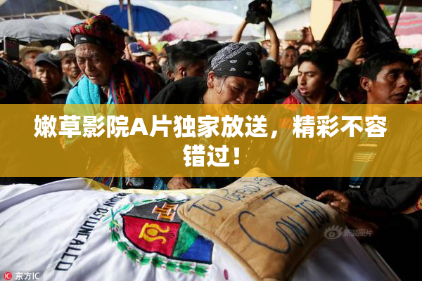 嫩草影院A片独家放送，精彩不容错过！