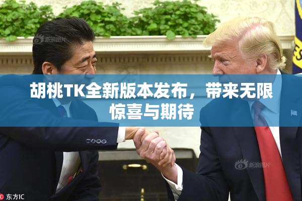 胡桃TK全新版本发布，带来无限惊喜与期待