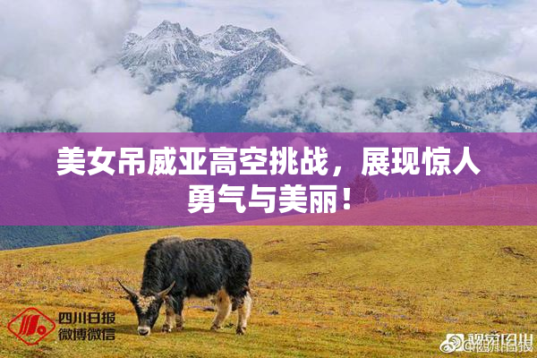 美女吊威亚高空挑战，展现惊人勇气与美丽！