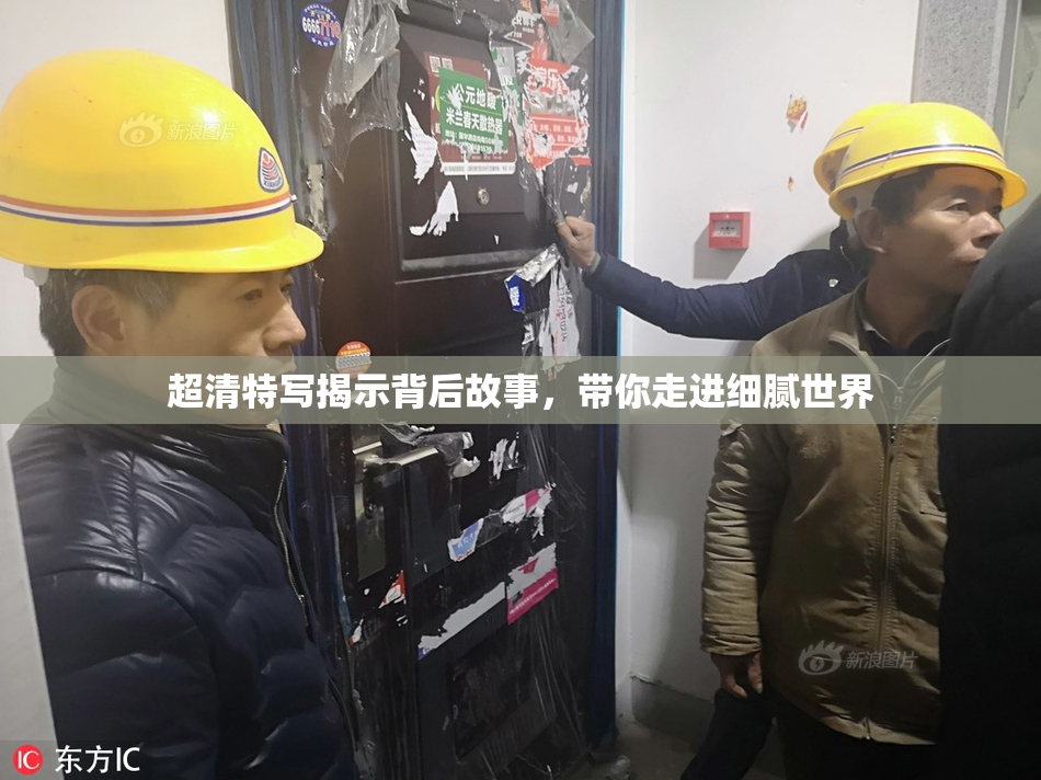 超清特写揭示背后故事，带你走进细腻世界