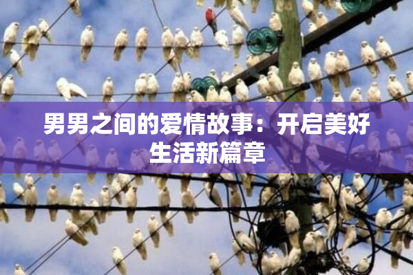 男男之间的爱情故事：开启美好生活新篇章