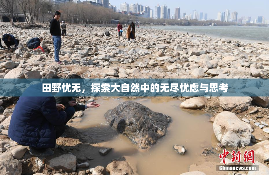 田野忧无，探索大自然中的无尽忧虑与思考
