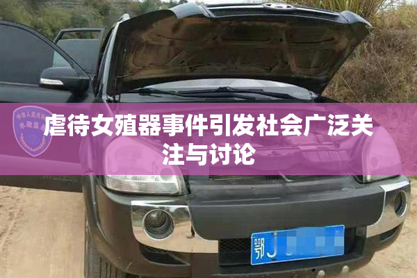 虐待女殖器事件引发社会广泛关注与讨论
