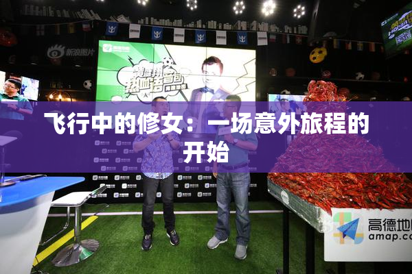 飞行中的修女：一场意外旅程的开始