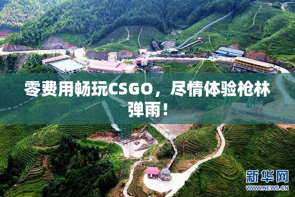 零费用畅玩CSGO，尽情体验枪林弹雨！