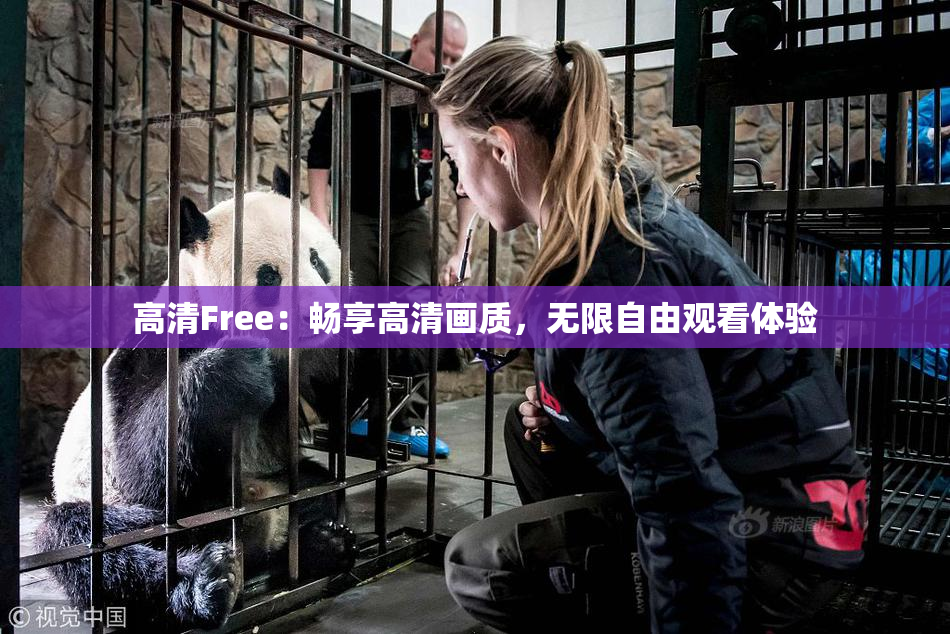 高清Free：畅享高清画质，无限自由观看体验