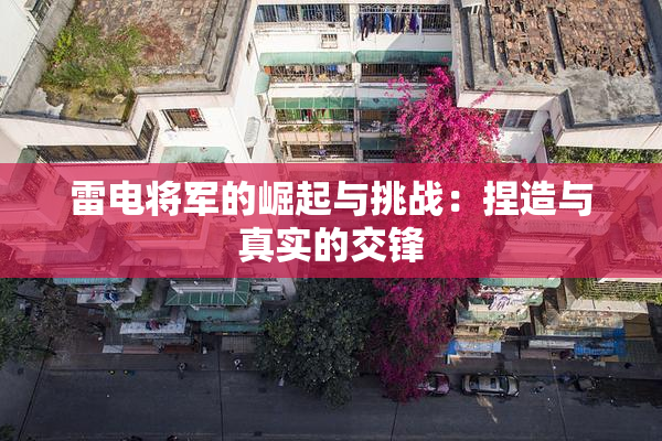 雷电将军的崛起与挑战：捏造与真实的交锋