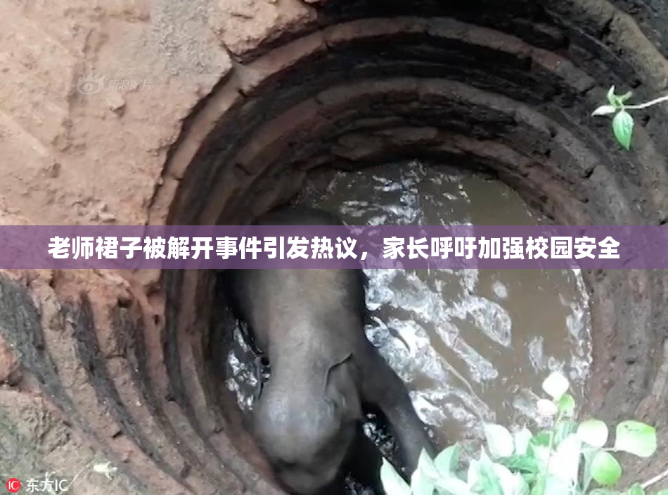 老师裙子被解开事件引发热议，家长呼吁加强校园安全