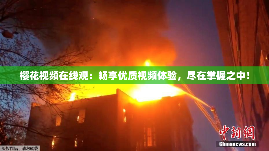 樱花视频在线观：畅享优质视频体验，尽在掌握之中！