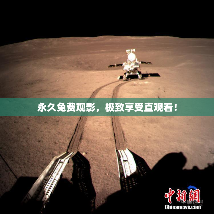 永久免费观影，极致享受直观看！